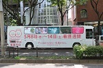 index-06.jpg